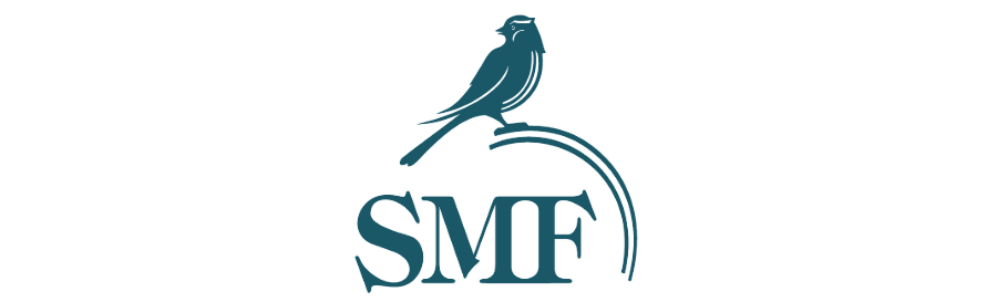 Simulation Medical Future